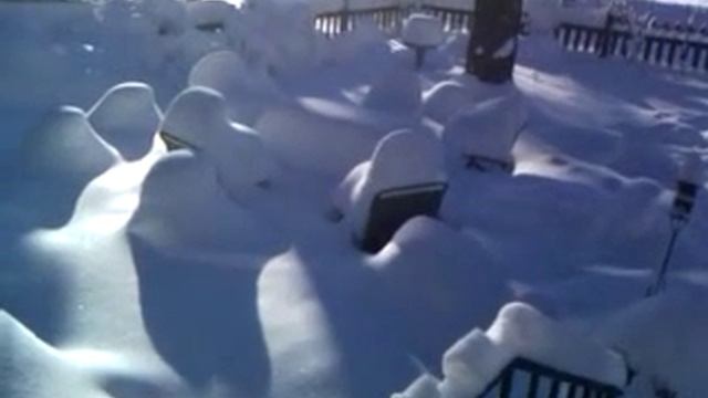 Qik - Snowpocalypse2 - The Morning After - front yard by Teresa Thomas смотреть онлайн