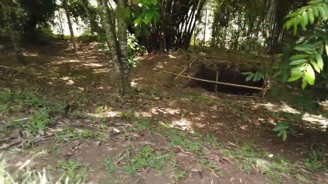 Walking Tour Taman Ayun Temple Mengwi Bali Indonesia смотреть онлайн