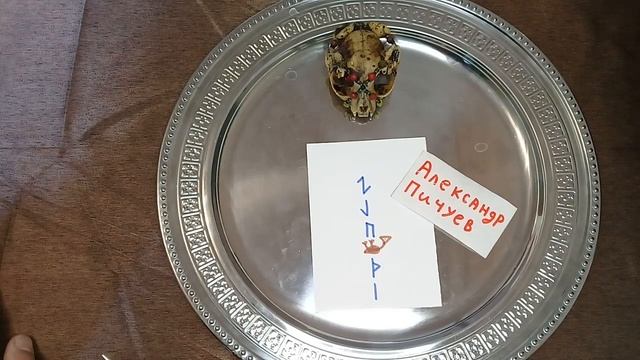 НА СУМАШЕСТВИЕ СИЛЬНЫЙ РУННЫЙ СТАВ!100%АВТОРСКИЙ. Руны работа для практиков. Отомстить врагу ритуал смотреть онлайн
