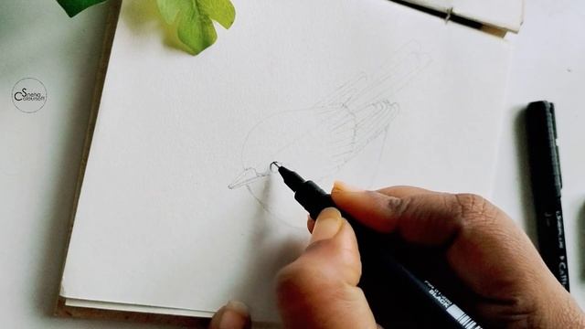 Ink & Imagine: Easy Small Bird Drawing and Inking Tutorial! смотреть онлайн