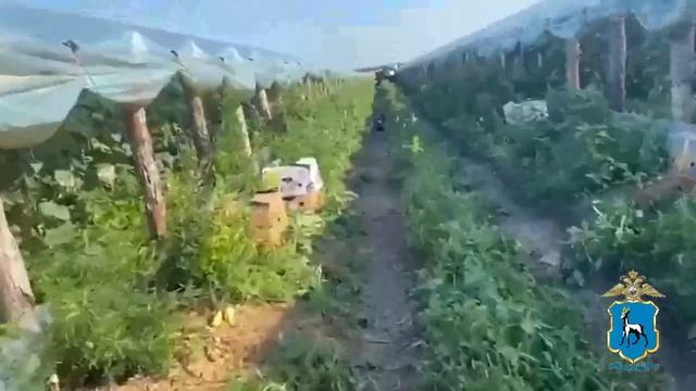 Рейд по мигрантам Самара смотреть онлайн