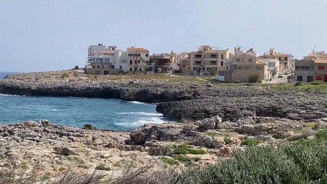Sa Coma 2023 Майорка! ЭКЗОТИЧЕСКИЕ природные Растения пляжа Majorca wild flowers смотреть онлайн