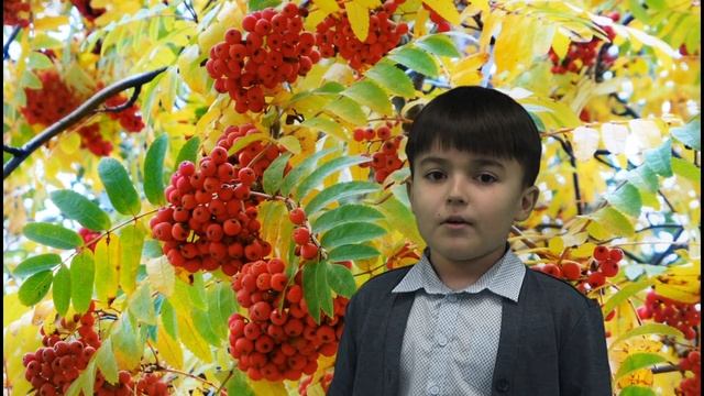 Стихотворение Сергея Есенина "Покраснели рябины" в исполнении ученика 1Б класса Куляева Константина смотреть онлайн