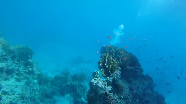 First Dive In Egypt
