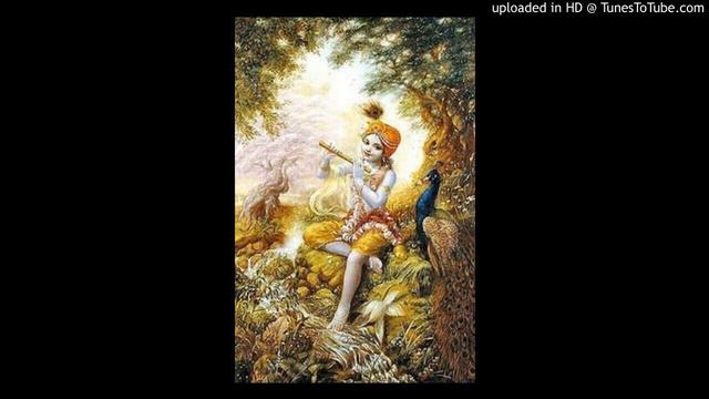 BVijnanaGS_Seminar_2-Anavrithi_Shabdat_-_2004-06-30_Radhadesh смотреть онлайн