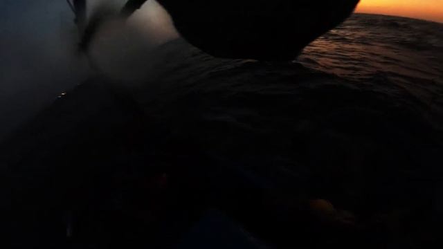 Шри Ланка рыбалка с местными смотреть онлайн