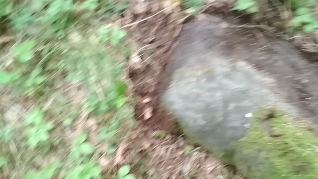 VID_20230710_093032.mp4 смотреть онлайн