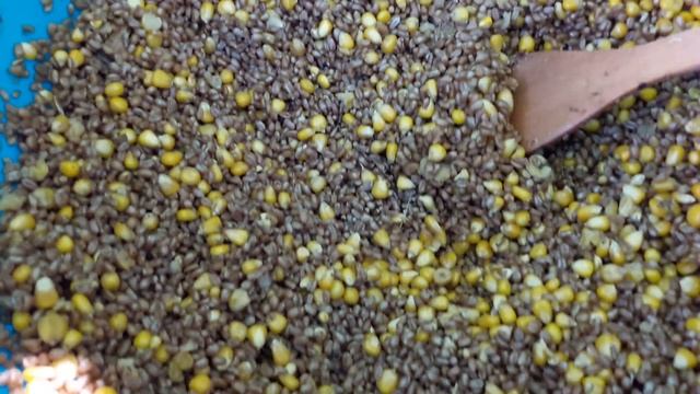 ЧЕМ? КОРМЛЮ ПЕТУХОВ МИНИ МЯСНЫХ смотреть онлайн