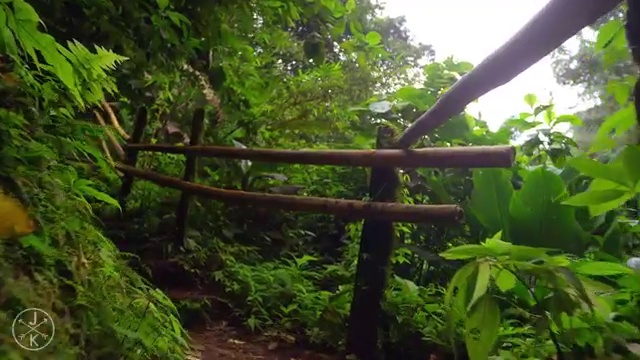 COSTA RICA IN 4K 60fps (ULTRA HD) W- Freefly Movi (1)