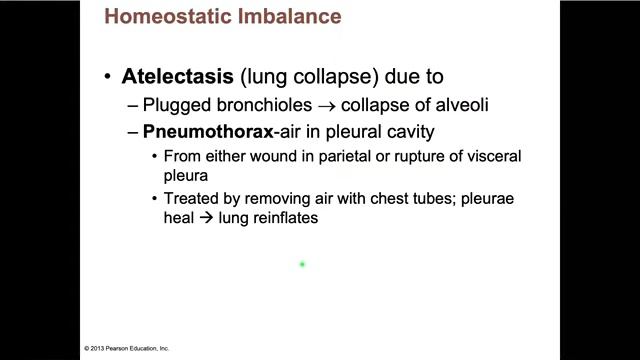 Sinclair Ch 22 Respiratory System Podcast Complete смотреть онлайн