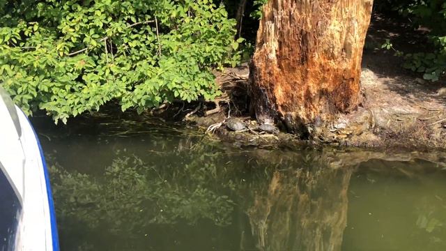 КРЫМ. СИМФЕРОПОЛЬ, ПРОГУЛКА ПО ГАГАРИНСКОМУ ПАРКУ, СТОИТ ЛИ ПРИЕЗЖАТЬ ПРИЕЗЖИМ? смотреть онлайн