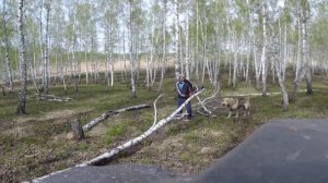 За дровами на квадроцикле