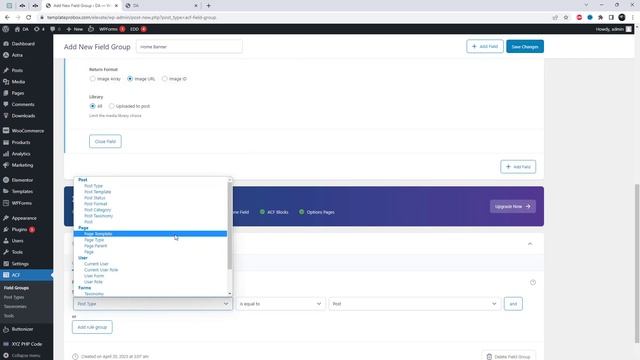 How to run PHP & ACF field Code in your Elementor pages смотреть онлайн