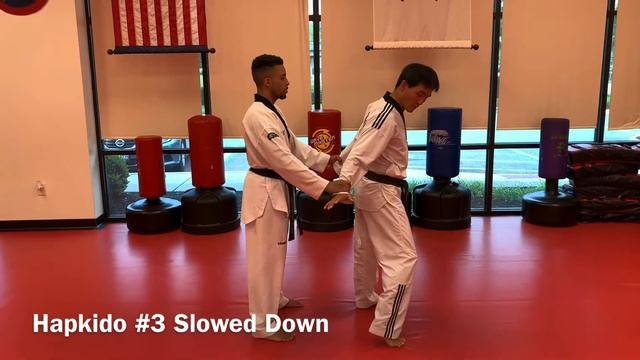 Black Belt Level 3 Hapkido Step-by-step смотреть онлайн