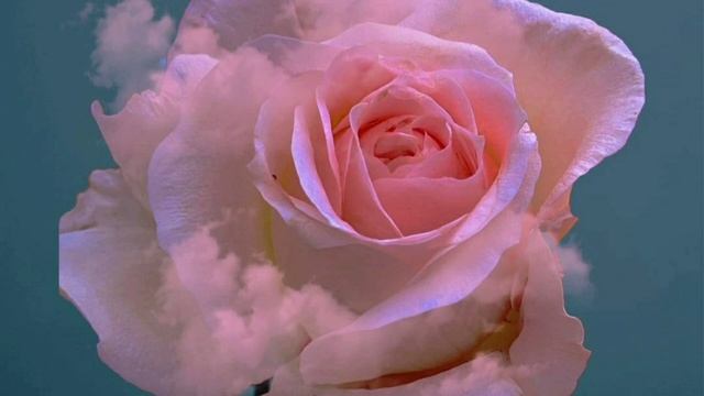 Послание ЧТО ТАКОЕ ДОМ✨☀️ смотреть онлайн