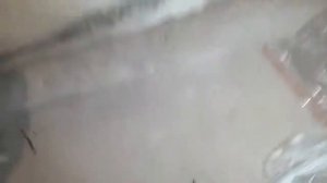 ПАССАТ Б 3.  КИТАЙСКАЯ ГУБА НА ПЕРЕДНИЙ БАМПЕР