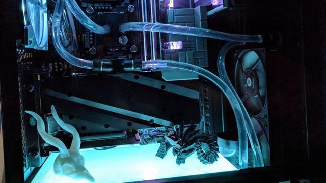 Necromancer Build Finished Photos смотреть онлайн