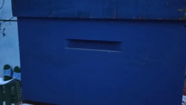 Безфальцевые деревянные улья смотреть онлайн