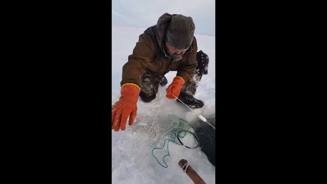 Подледная рыбалка 2020г. Арктика. Якутия. смотреть онлайн