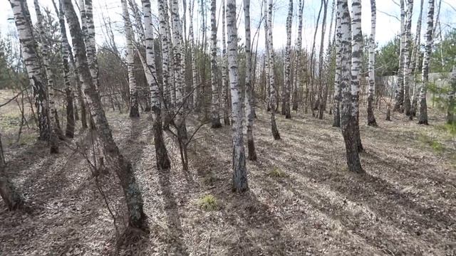 Поездка на дачу/Креветки в соевом соусе/Приятное событие... смотреть онлайн