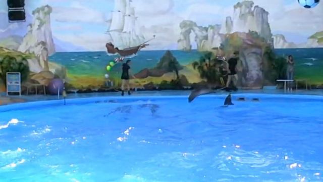 Dolphinarium "Nemo" (Yerevan 31/08/2011) 3/4 смотреть онлайн