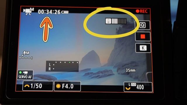 Canon R6 M2 4K 50к с C Log. Греем до упора!