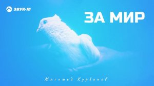 Магомед Курбанов - За мир | Премьера трека 2024