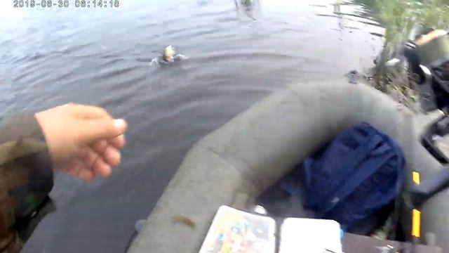 Ловля Окуней на ПОППЕР! смотреть онлайн