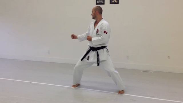 Nihon Yoko Geri Keage Kiba Dachi | IKD Testing Syllabus Videos | Shotokan Karate 2013