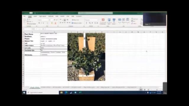 3 5 2021 Willoway Growers Updates смотреть онлайн