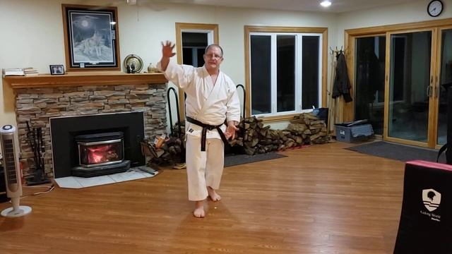 Zoom Training - U Of M Shotokan Karate Club - Dec 30 2020