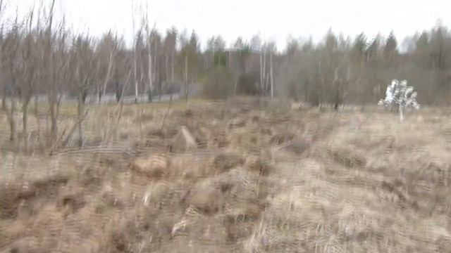 Сажаем фацелию разбрасывателем Earthway (Тверская область, 2016) смотреть онлайн
