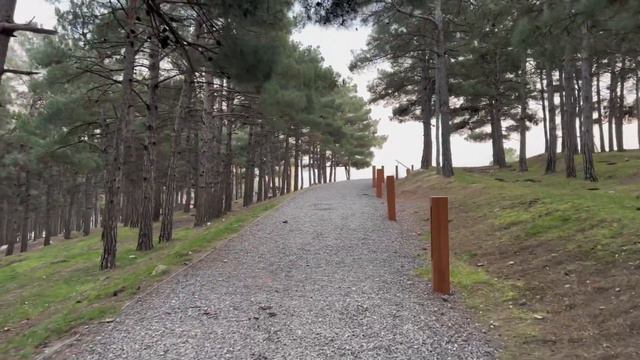 г.Дербент. Сосновый бор смотреть онлайн
