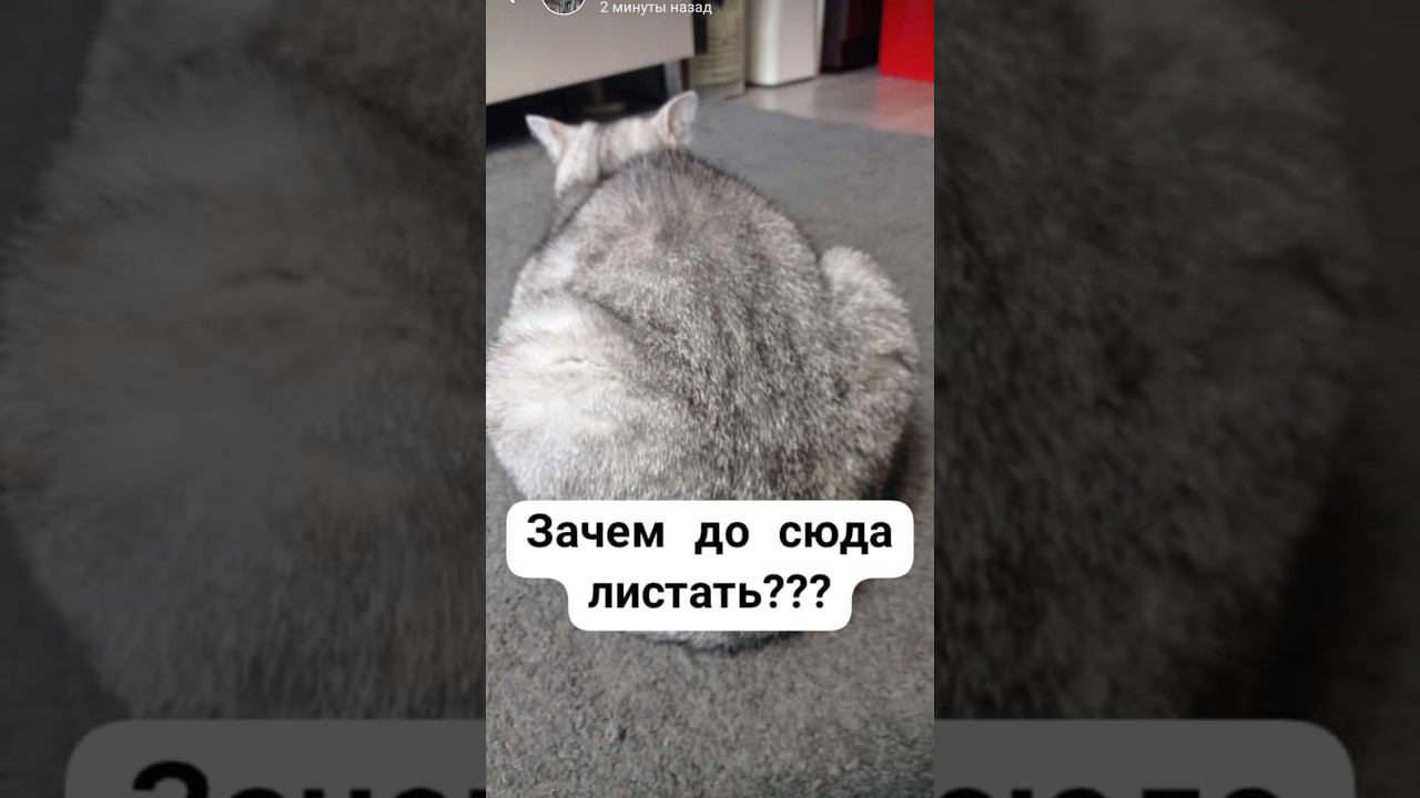 #shorts #sounds #recommended #4k #4kvideo #беззвука #интересно #2024 #нг #имялуна #games #proof смотреть онлайн