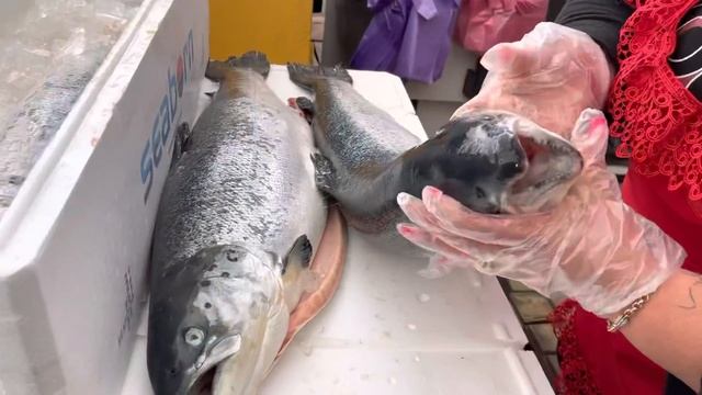 НОРВЕЖСКАЯ ЩУЧКА В НОРВЕЖСКОМ ЛОСОСЕ. смотреть онлайн