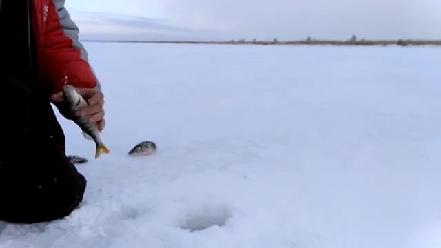 Рыбалка на балансир Айдыкуль смотреть онлайн
