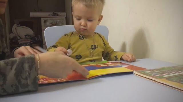 Эксперт Волос