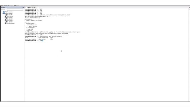 Creating Kubernetes Network Policy in TANZU смотреть онлайн