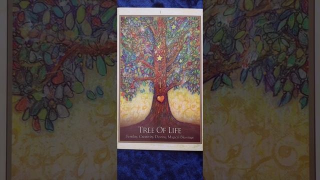 Tree of Life ? Gaia Oracle Card Meaning смотреть онлайн