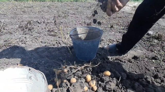 Уборка картофеля смотреть онлайн