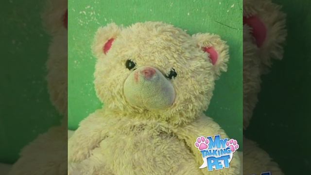 urso 🐻 смотреть онлайн
