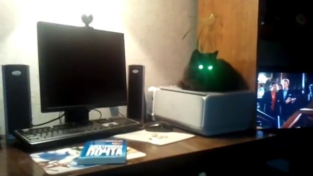 Кошка со светящимися Глазами))) смотреть онлайн