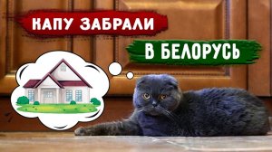 Капу забрали в Минск (Беларусь)  она больше не злючка, там стала спокойнее и ласковее. Груминг!