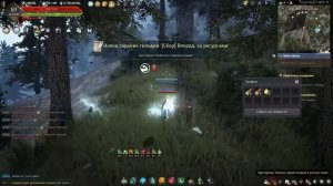 Black Desert Сбор древесины 1800 мастерства 1час \ Gathering wood 1800 skill. No comments BDO