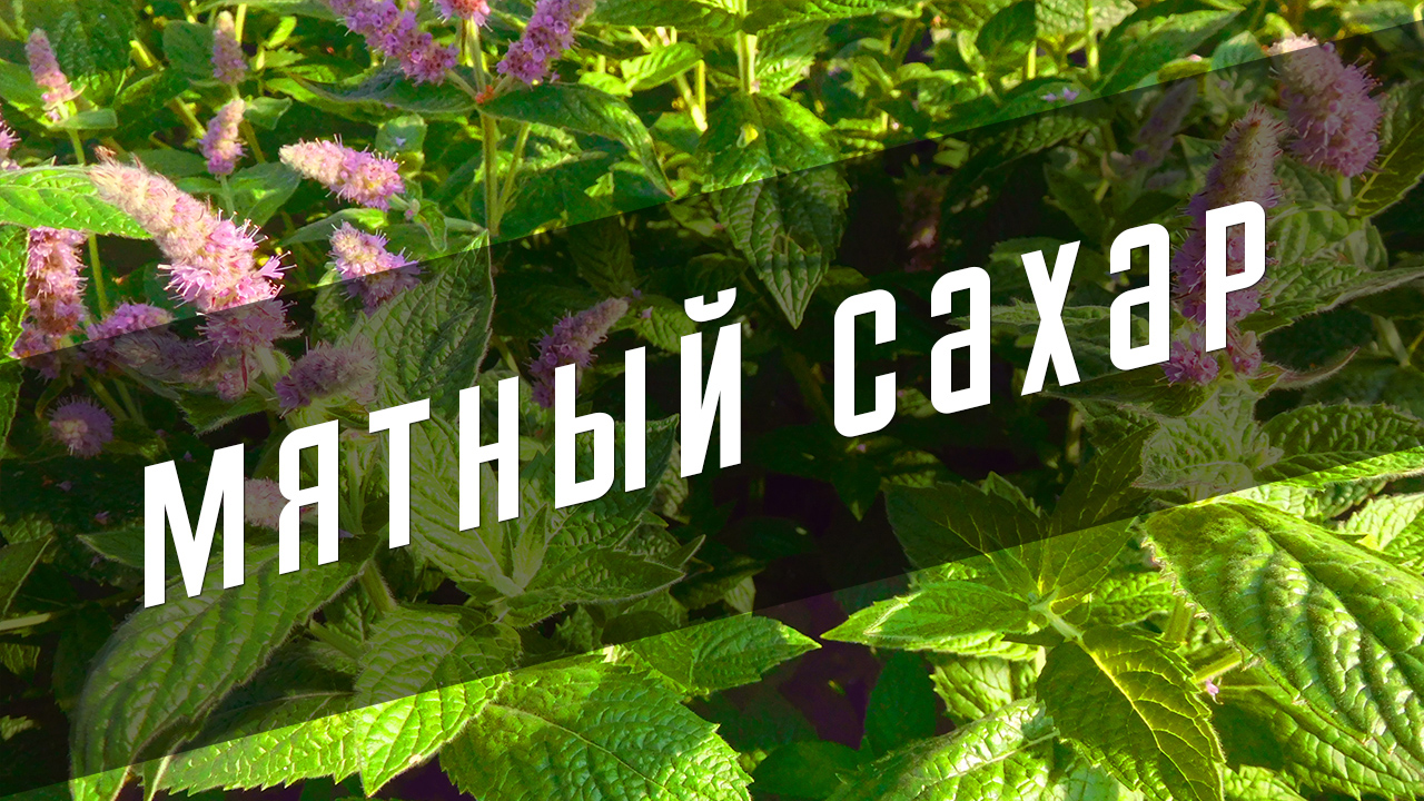 Мятный сахар своими руками. Для чая, выпечки, десертов, лимонада смотреть онлайн