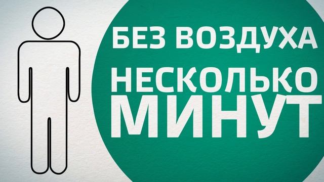 Два Товарища - Творческое Объединение смотреть онлайн