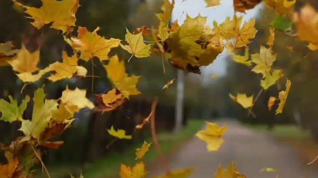 28 октября 2018 г. смотреть онлайн