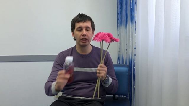 Я Худею с психотерапевтом. Как похудеть? Стать лириком или физиком. Интуитивное питание смотреть онлайн