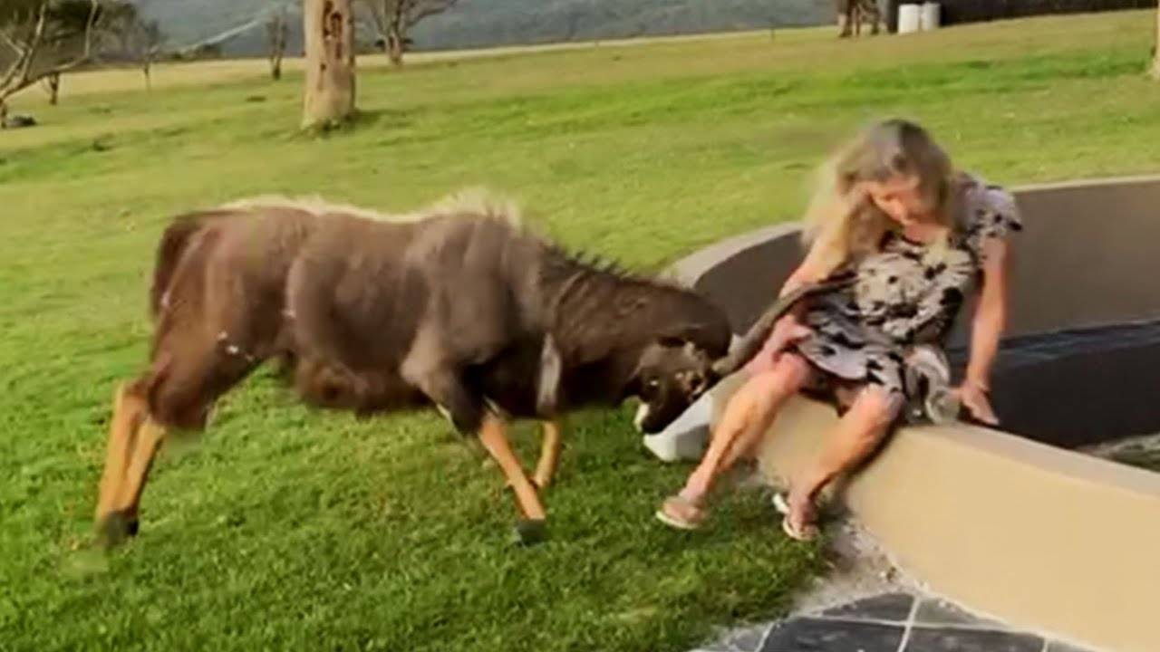 Best Fails of the Decade - FUNNY VIDEOS PART 3 смотреть онлайн