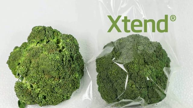 Broccoli in Xtend смотреть онлайн